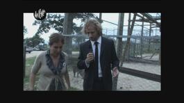 FACCHETTI: Animali sequestrati thumbnail