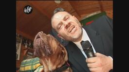 GOLIA: Animali pubblicità thumbnail