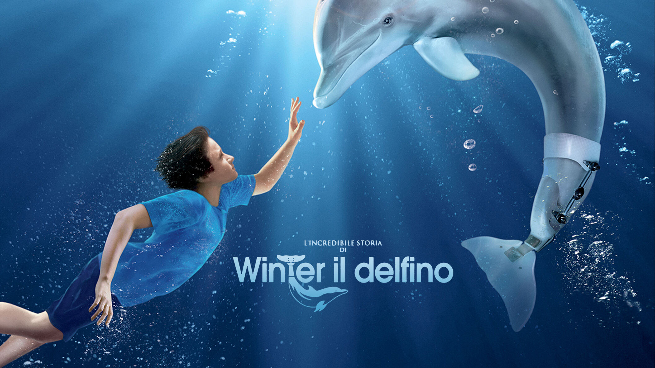 L'incredibile storia di Winter il delfino