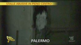 Nel pieno centro di Palermo thumbnail