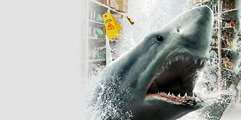 Italia 2 Shark