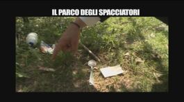 PELAZZA: Il parco degli spacciatori thumbnail