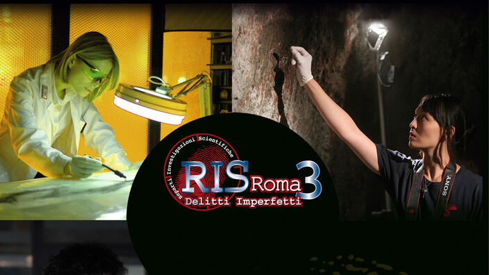 R.I.S. Roma 3