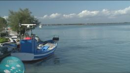 Grado, un'isola dove la pesca è sempre più integrata al turismo thumbnail