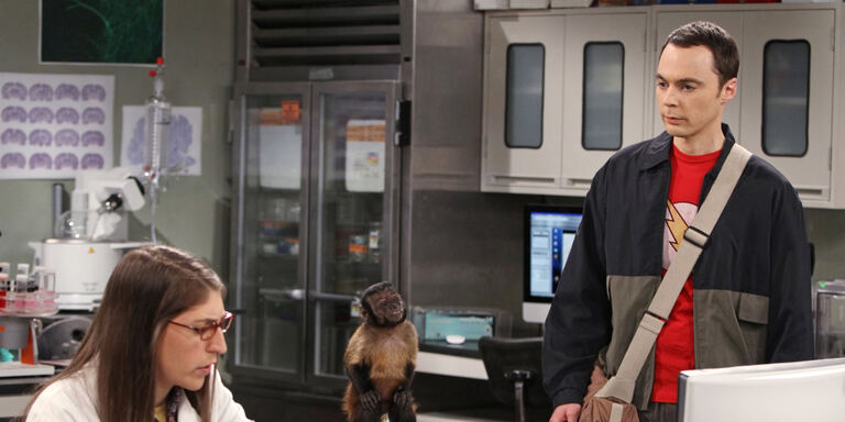Italia 2 The Big Bang Theory