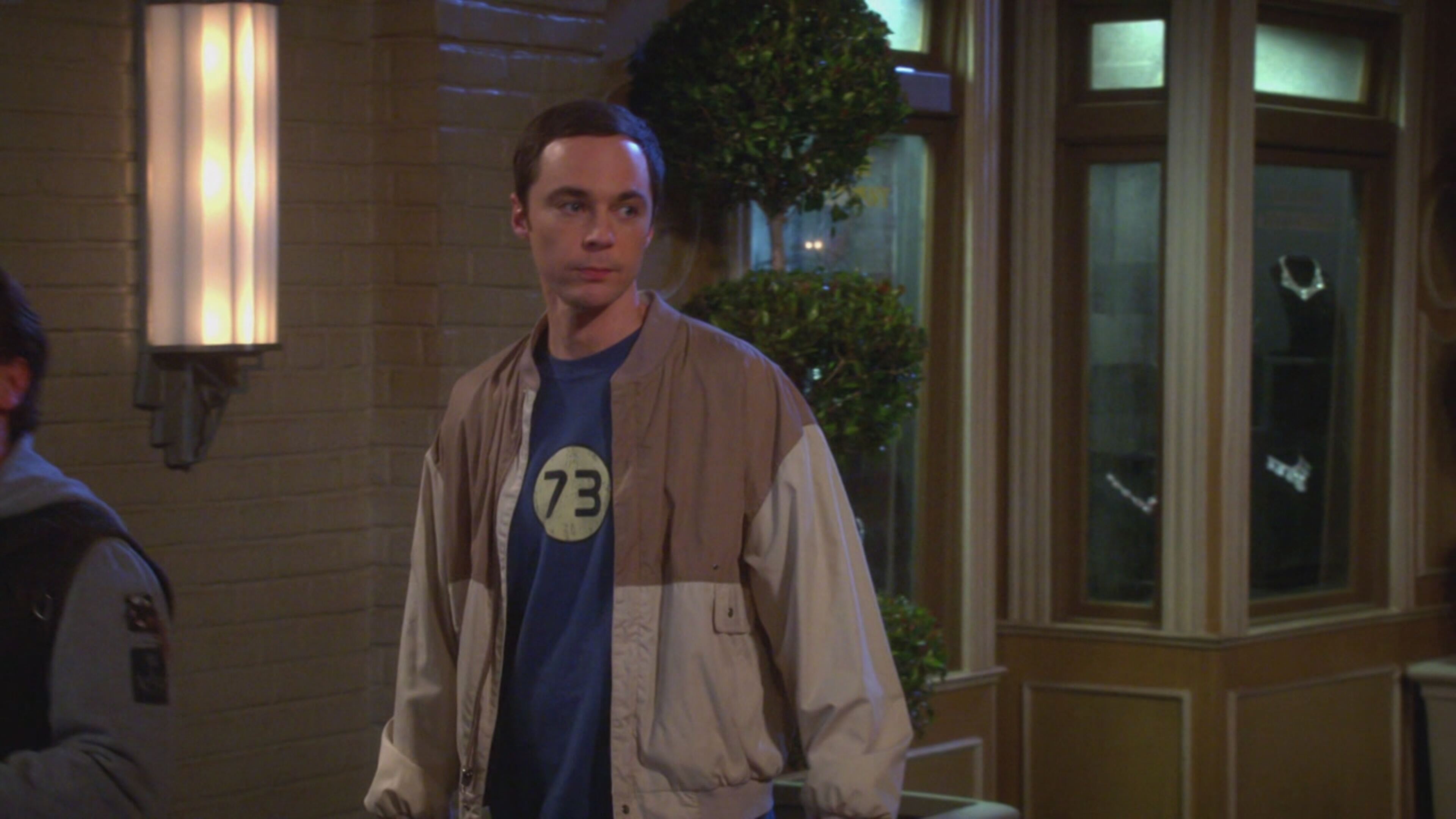 THE BIG BANG THEORY