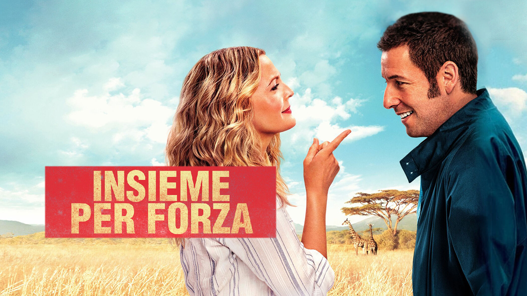 Insieme per forza