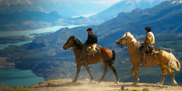 Focus Wild patagonia