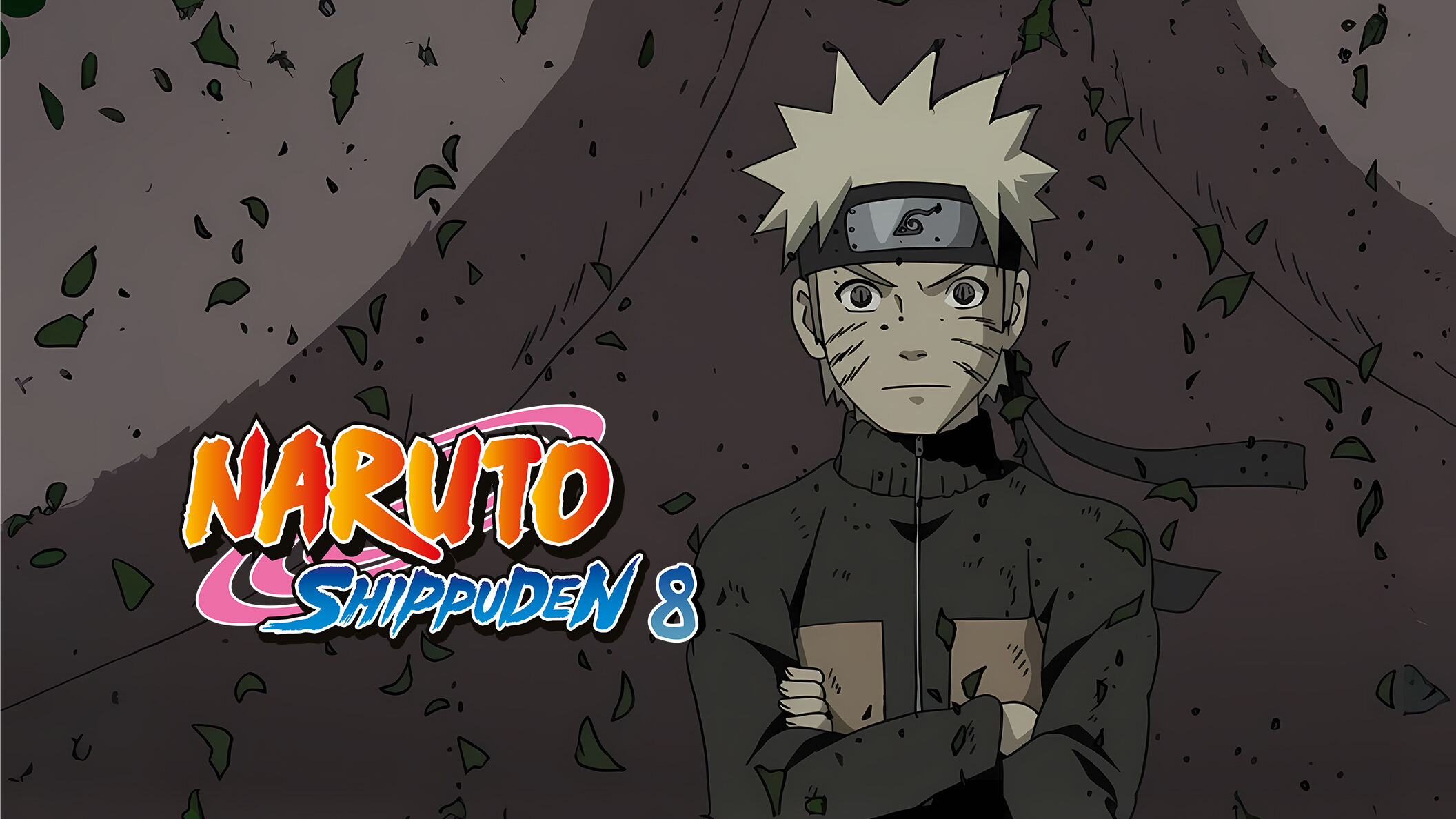 Naruto Shippuden 8
