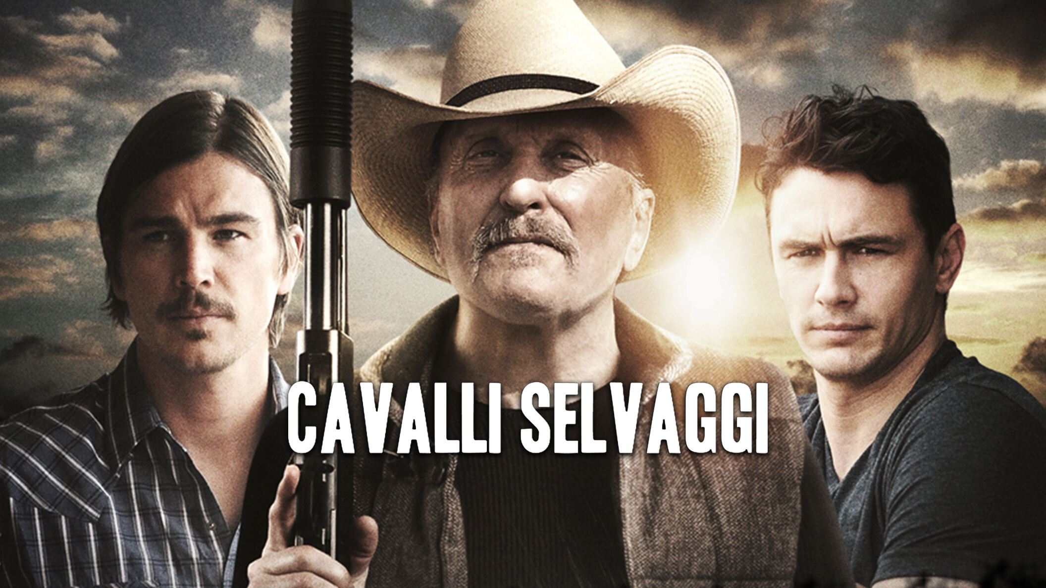 Cavalli selvaggi