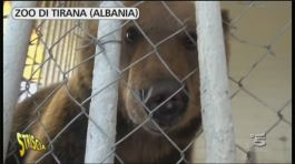 Zoo di Tirana (Albania) thumbnail