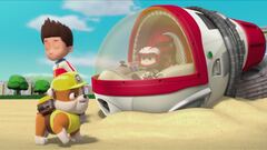 Cuccioli salvano un fiore puzzolente / Cuccioli salvano la scimmia astronauta