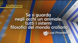L'aforisma di Luigi Pirandello thumbnail