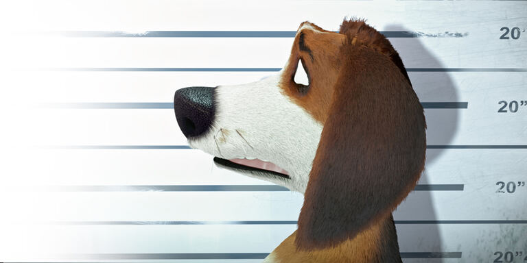 Italia 1 Ozzy - Cucciolo coraggioso