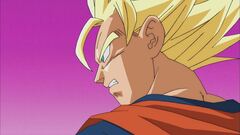 Goku contro Lord Beerus