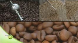 Il caffè robusto e il caffè arabico thumbnail