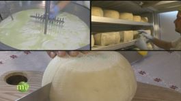 La produzione di formaggi thumbnail