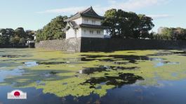 Il palazzo imperiale di Tokyo thumbnail