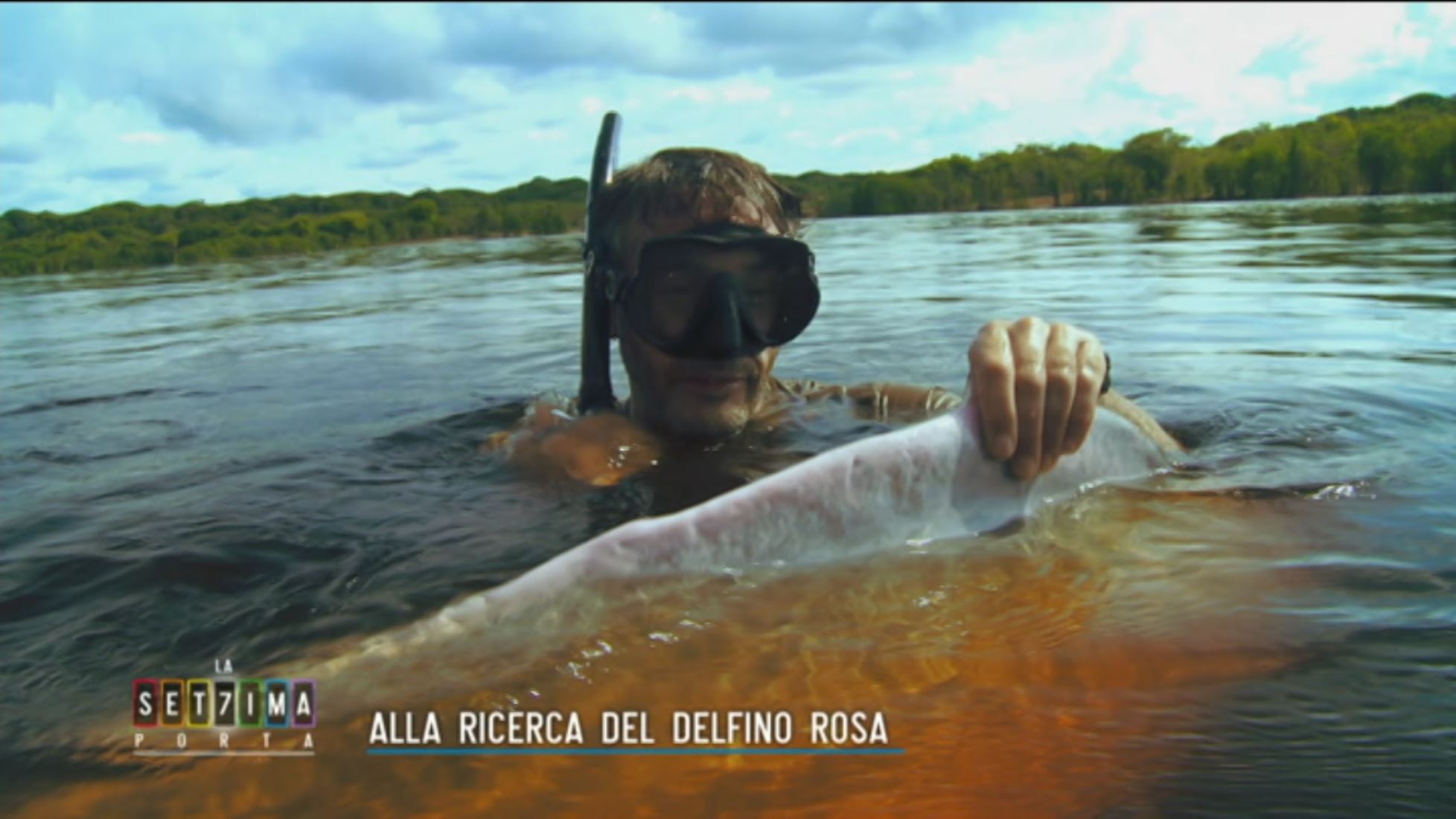 Alla Ricerca Del Delfino Rosa Parte 2 La Settima Porta Video Mediaset Play