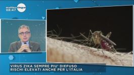 Allerta zanzare: rischi elevati anche per l'Italia thumbnail