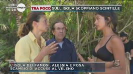 L'Isola dei famosi: Alessia vs Rosa thumbnail