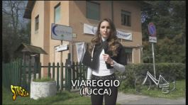 Casa delle Donne a Viareggio (Lucca) thumbnail
