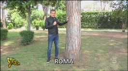 Strade dissestate a Roma thumbnail