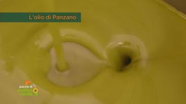 L'olio di Panzano thumbnail