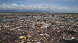 La plastica che uccide e soffoca gli oceani thumbnail