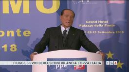 Berlusconi: "Un manifesto per la nuova Forza Italia" thumbnail