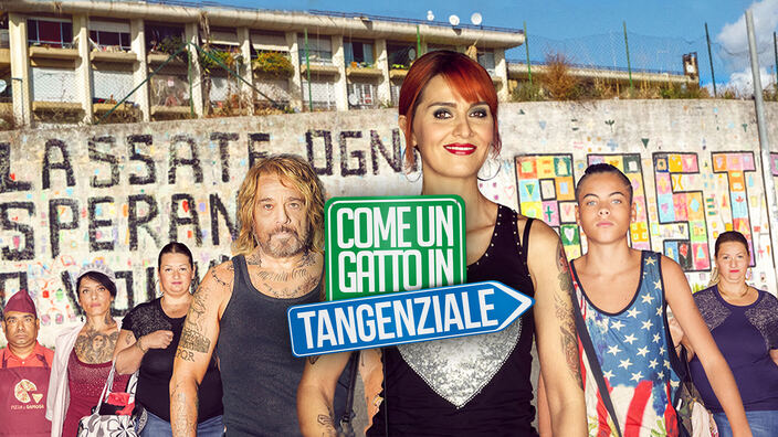 Come un gatto in tangenziale