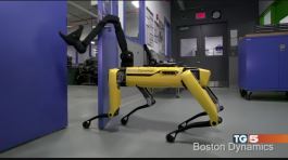 E il cane robot aprì la porta agli amici thumbnail