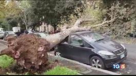 Disastro maltempo: 10 morti, 1 disperso thumbnail