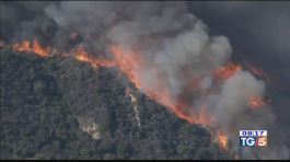Incendi California almeno 9 morti thumbnail