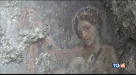 Leda e Cigno, l'ultima meraviglia di Pompei thumbnail