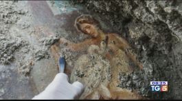 Leda e il cigno meraviglia a Pompei thumbnail
