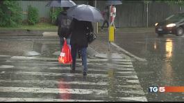 La primavera si fa attendere thumbnail