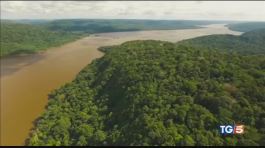 Patrimonio in pericolo salviamo l'Amazzonia thumbnail