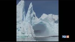 S.O.S Artico e animali: un pianeta da salvare thumbnail
