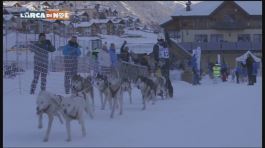 Cani da slitta in Trentino thumbnail