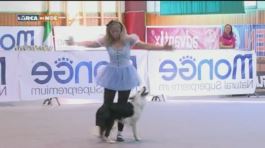 L'Educ-cani: Dog Dance thumbnail