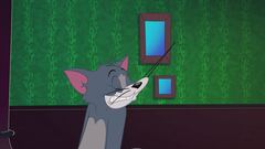 Il gatto invisibile