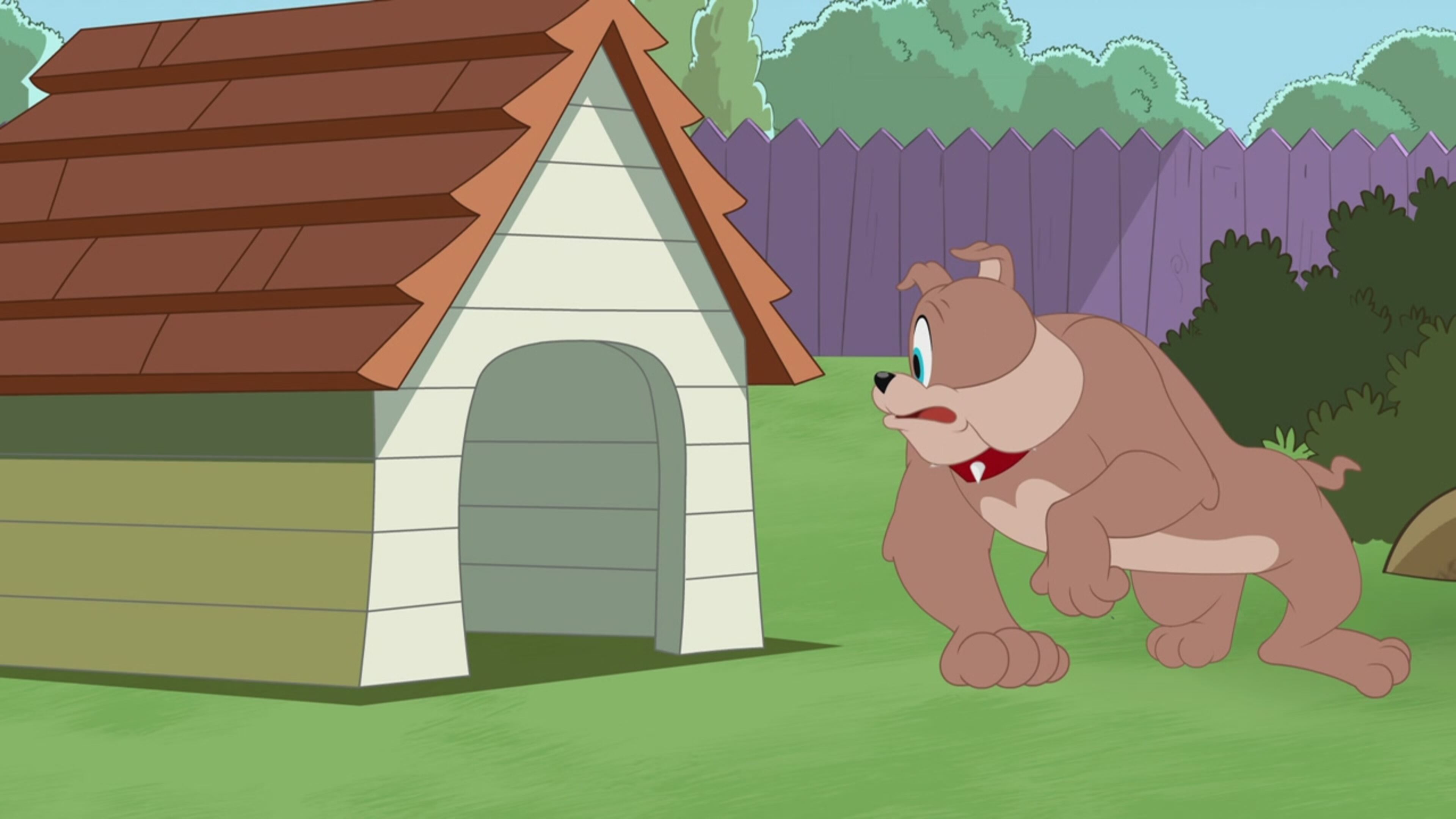 The Tom & Jerry Show