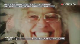 Aosta: Rosella ritrovata sotto un viadotto thumbnail