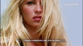 Pamela Anderson story thumbnail