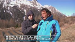 Valle d'Aosta: troppo caldo in alta quota thumbnail