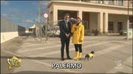 Il nodo del porto di Palermo thumbnail