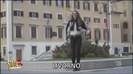 Cestini dei rifiuti a Livorno thumbnail