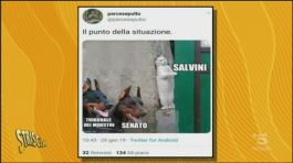 La Satira Web su Salvini thumbnail