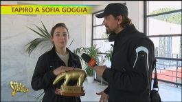 Tapiro d'oro a Sofia Goggia thumbnail